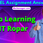 {Week 1} NPTEL Deep Learning - IIT Ropar Assignment Answers 2023