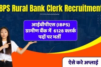 IBPS Rural Bank Clerk 6128 Recruitment