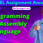 NPTEL C Programming And Assembly Language Assignment Answers 2023