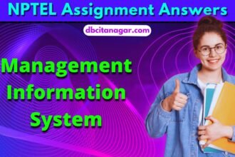 NPTEL Management Information System Week 2 Assignment Answers 2024