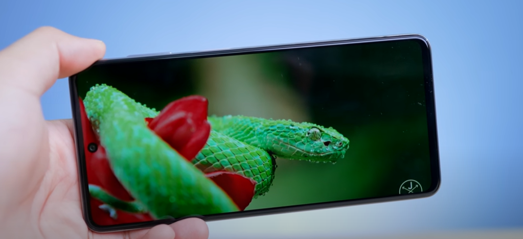 Samsung Galaxy F54 5G Diplay