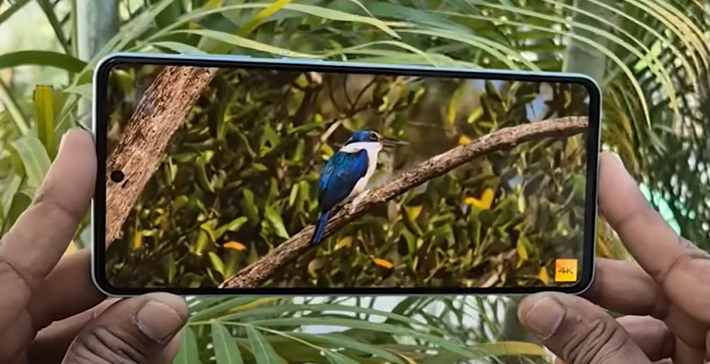 Samsung Galaxy M55 5G Display